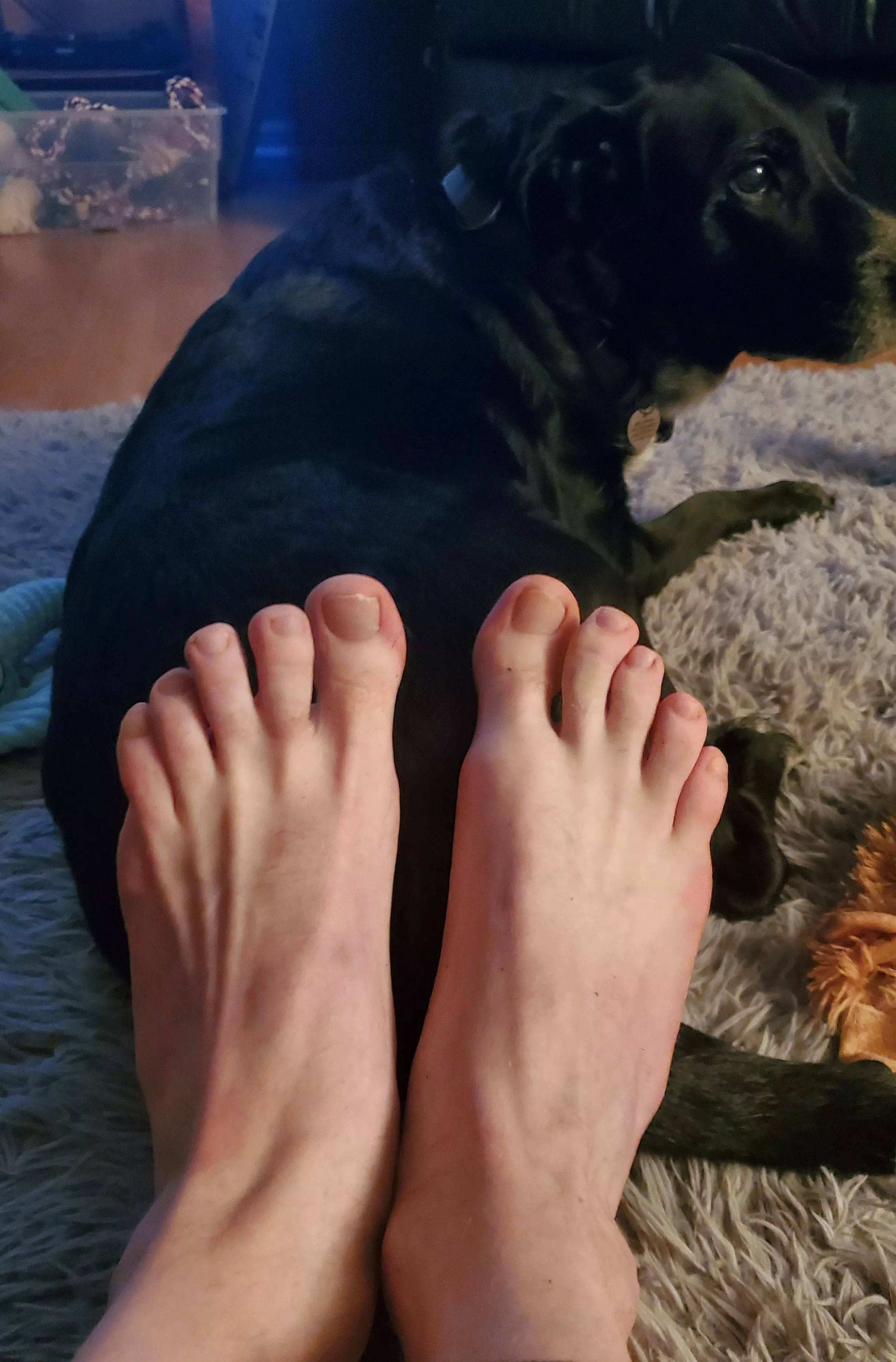 The opposite of DBZ feet