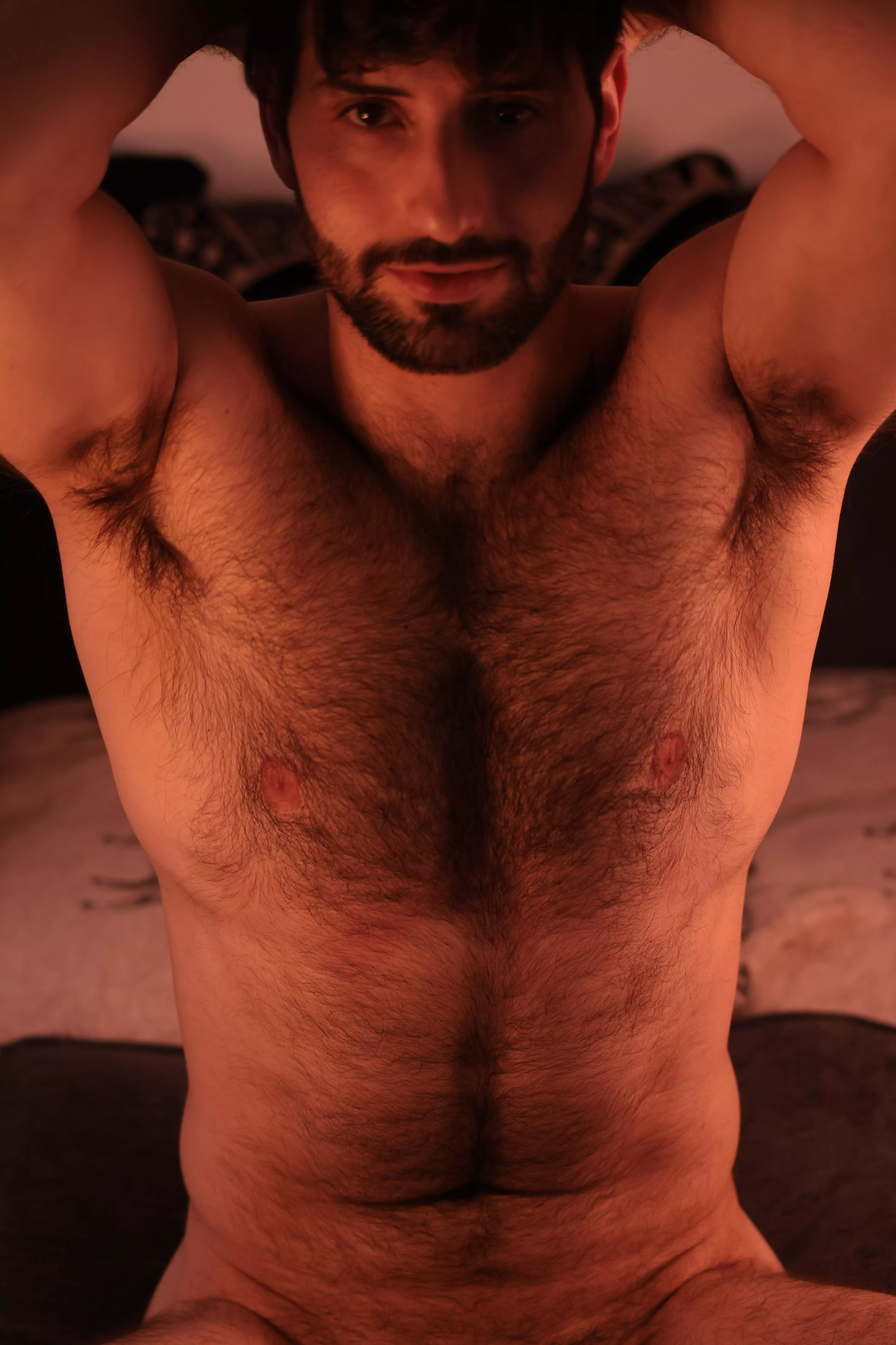 The “twirl around with your fingers” kind of chest hair.