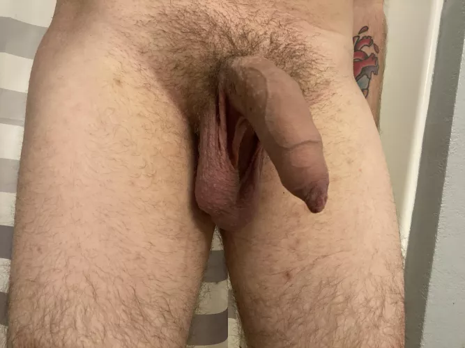 Thoughts on my softie? (23)