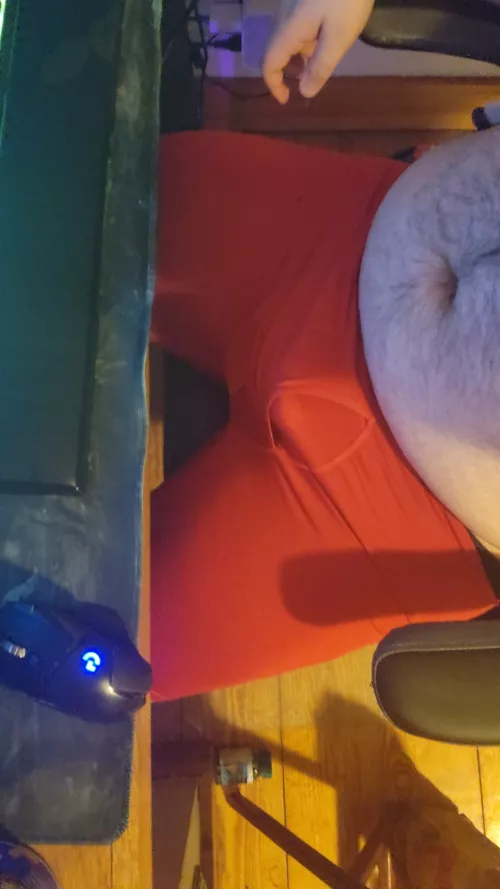 waiting patiently for someone to get under my desk