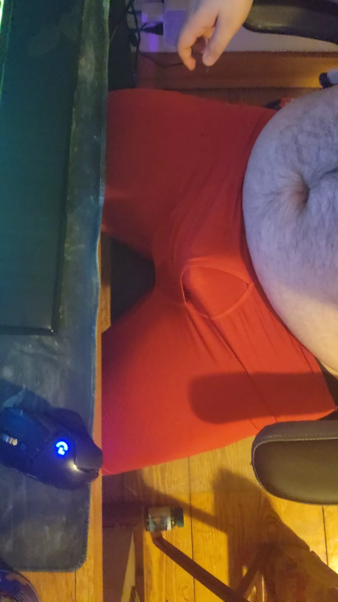 waiting patiently for someone to get under my desk