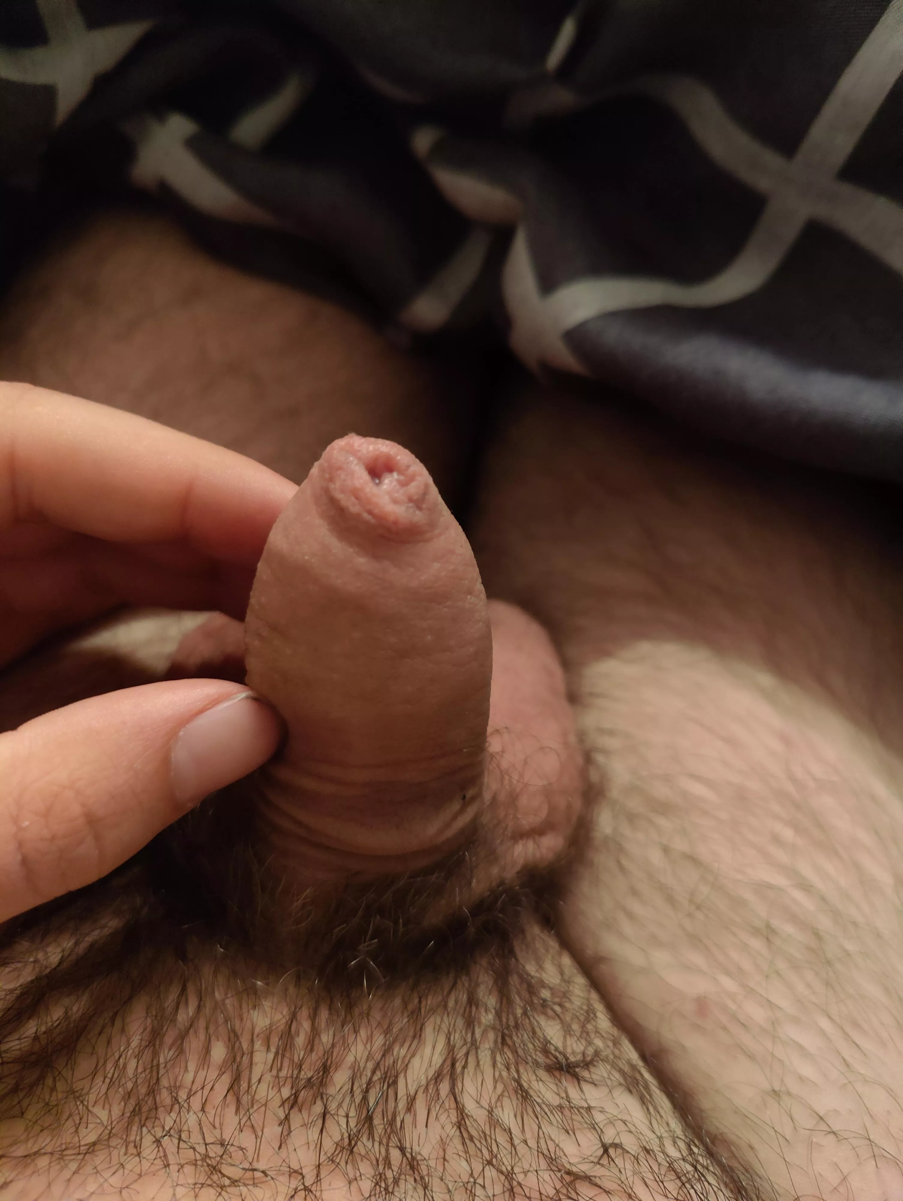 which alpha is bigger than me? im 23 btw