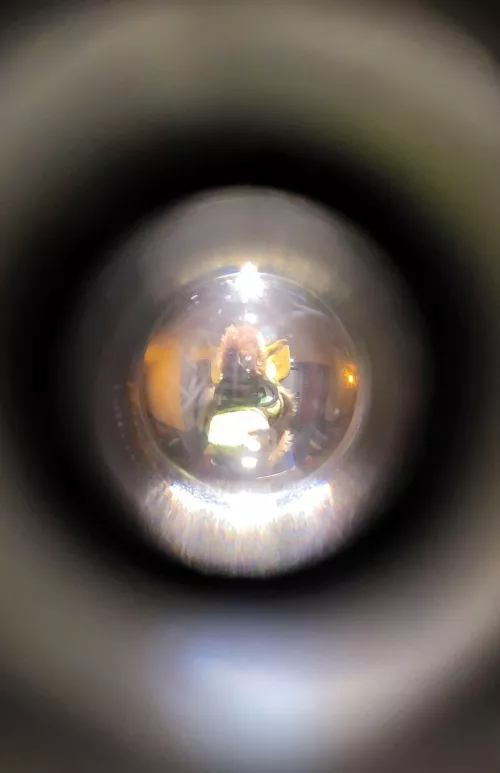 will you let her in?