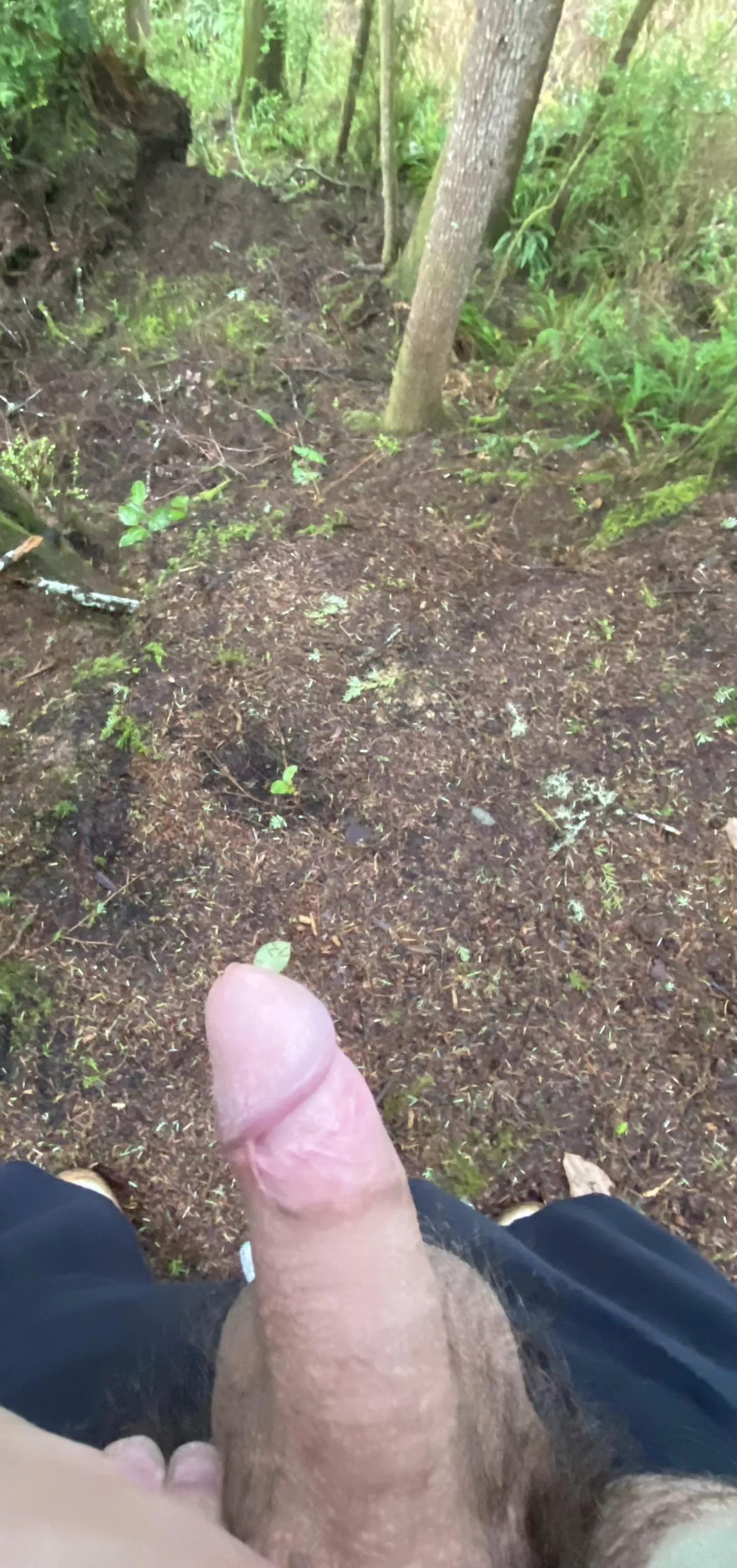 [18] On a walk through the forest, with I had someone to enjoy my cock