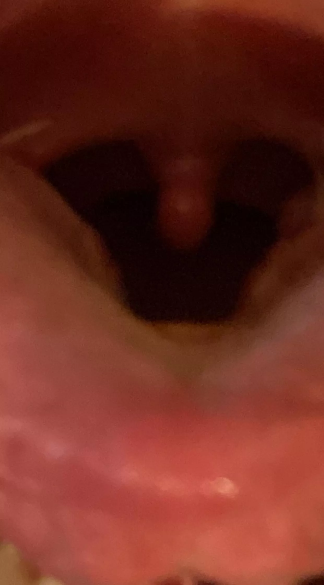 25M. Anyone in or around Miami flordia? Will be on vaca there in February. Looking to swap head. comment down below if you are in the Miami area