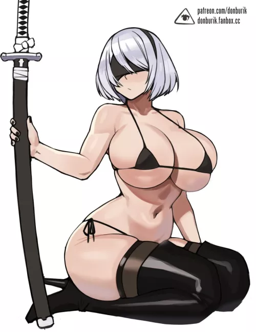 2B(donburikazoku)[NieR: Automata]