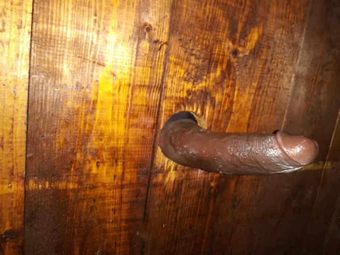 a new unknown friend has stopped in again