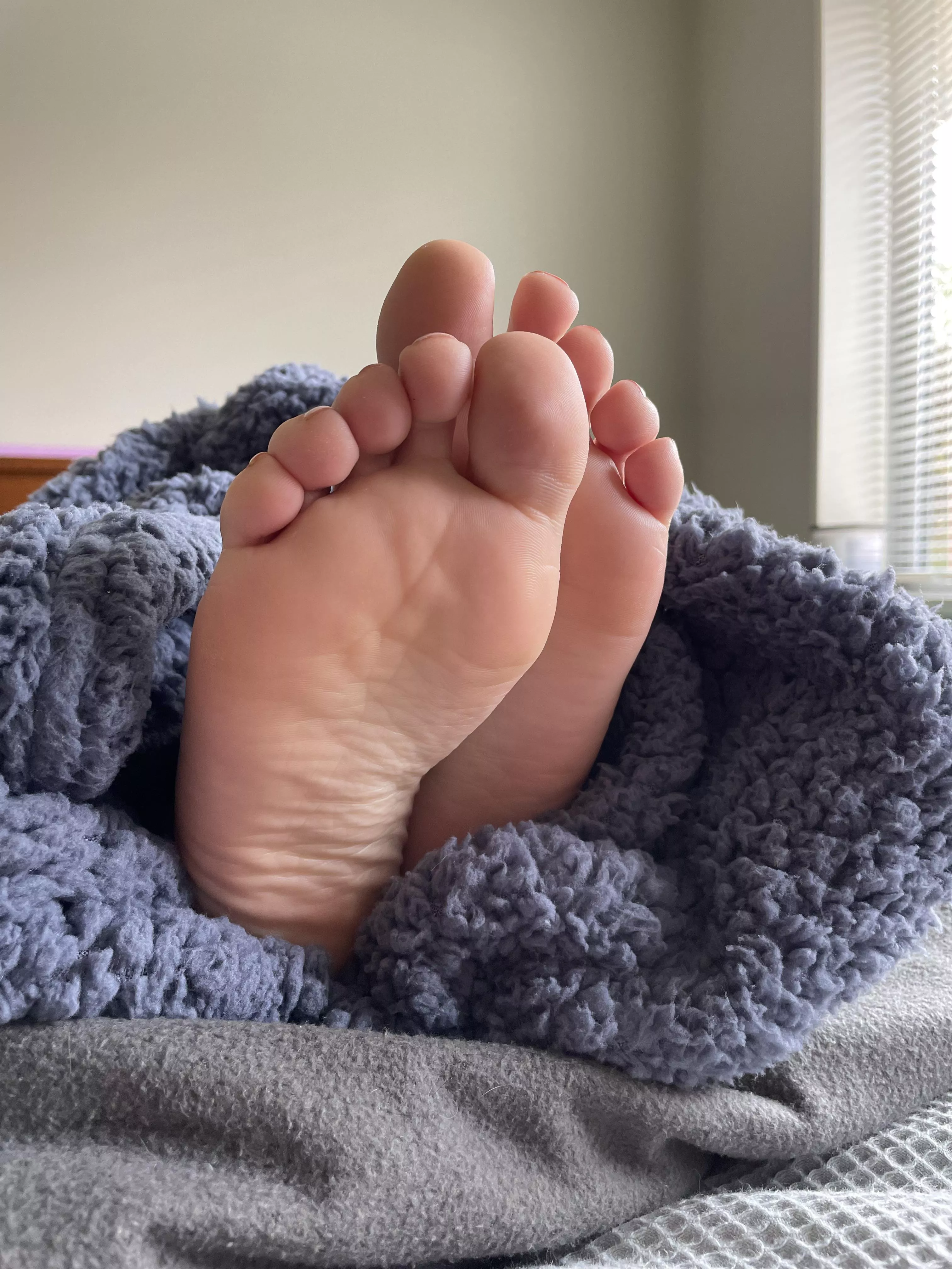 All tucked up for the afternoon.