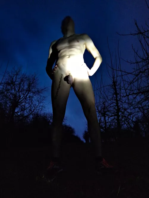 Alone in the dark? Just follow the light!