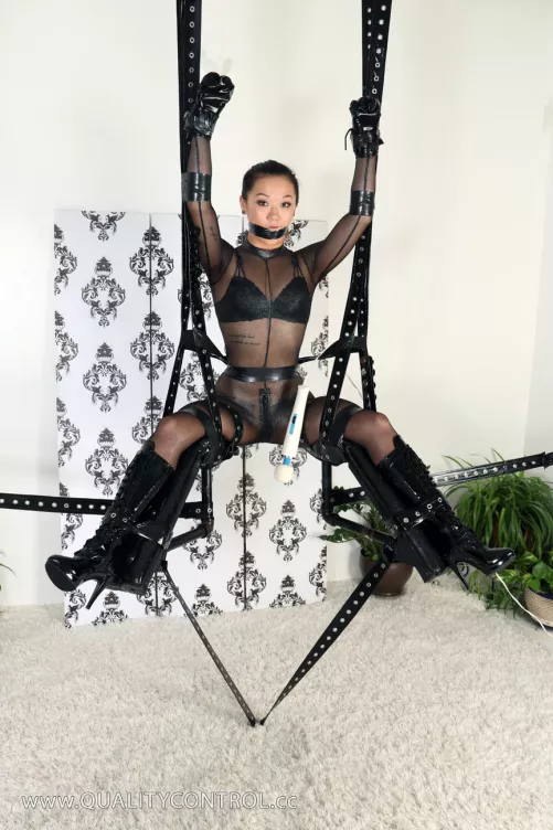 Bondage Swing
