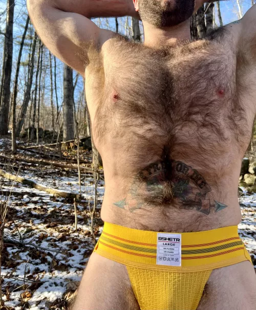 Did you know I have my own forest?