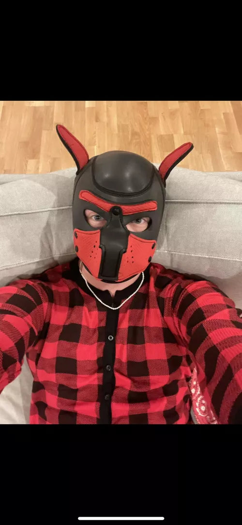 Give me orders for what and how I have to eat dinner tonight (please don’t hold back)