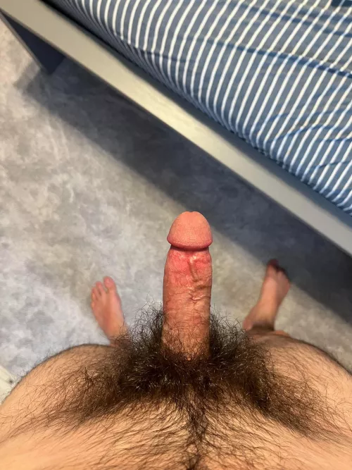 Hope you don’t mind my bush