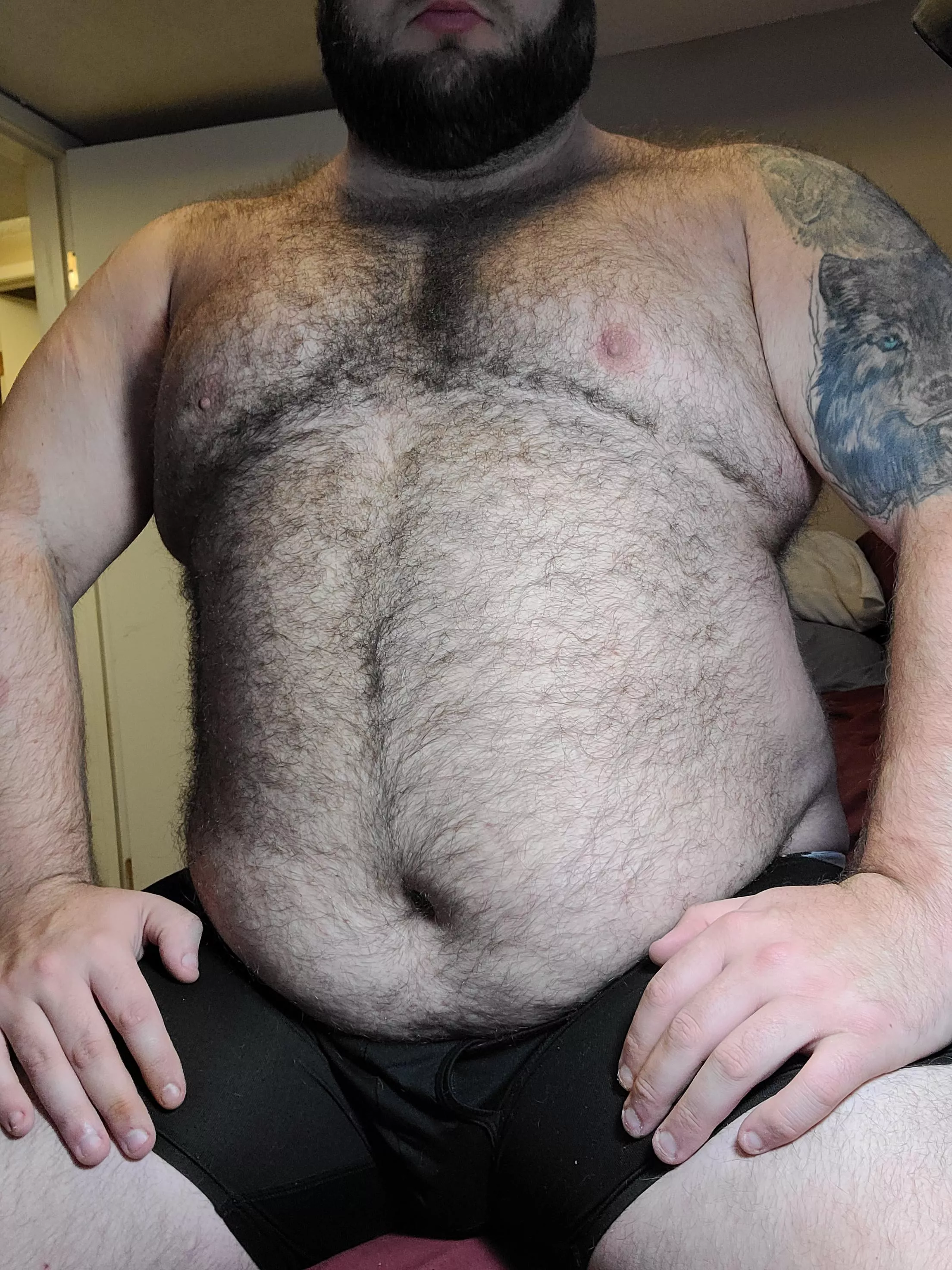 I love bear puns! I find them beary hilarious!