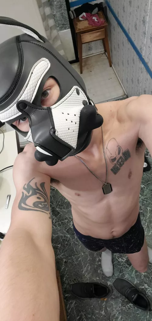 Just put some lewd content up. If your interested!!!!!