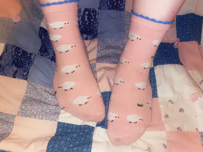 Let’s count sheep tonight- size 11