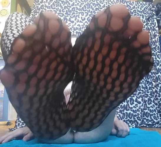 Lick my toes or eat my ass?
