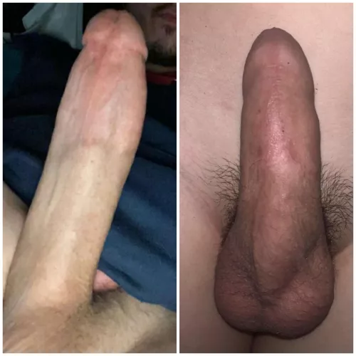 NovelBus7778 challenged me who won?