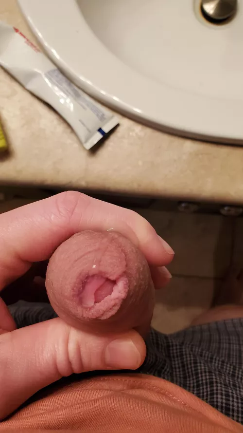 pre cum fans?