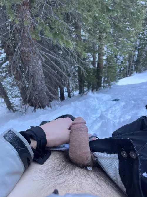 Pulled my cock out on the ski hill