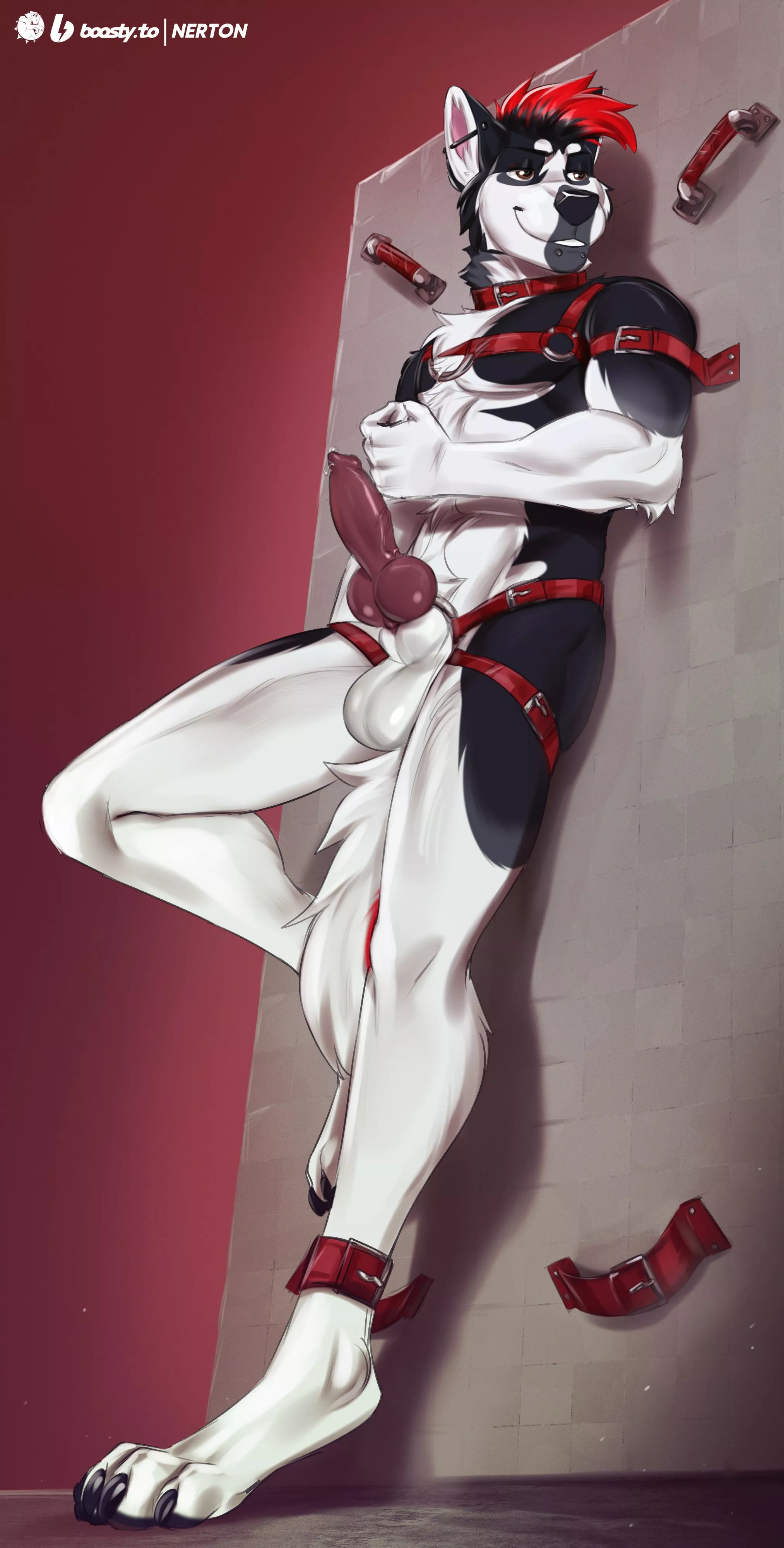 Sebastian the husky (nerton)