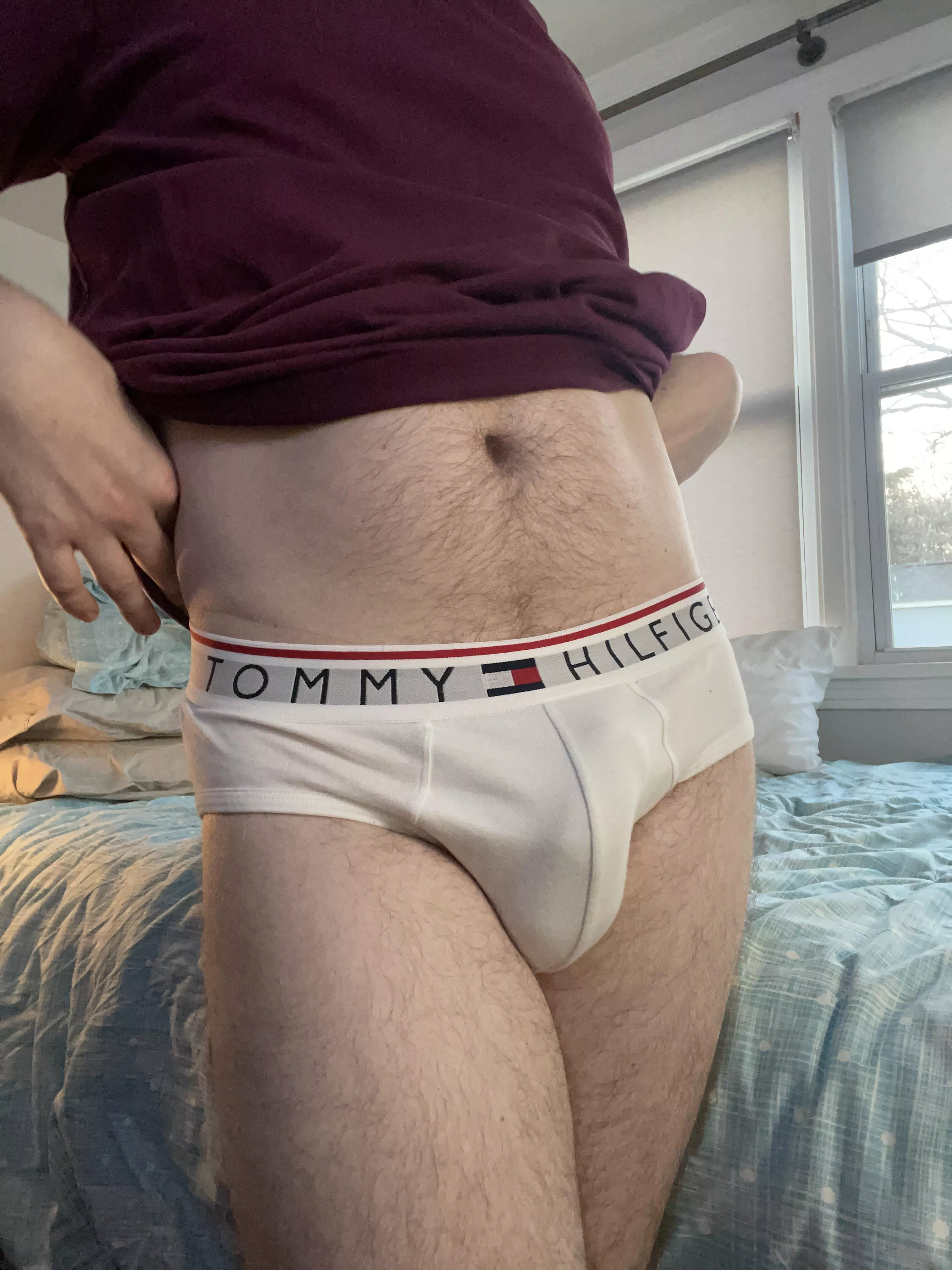Tommy Hilfiger white briefs today