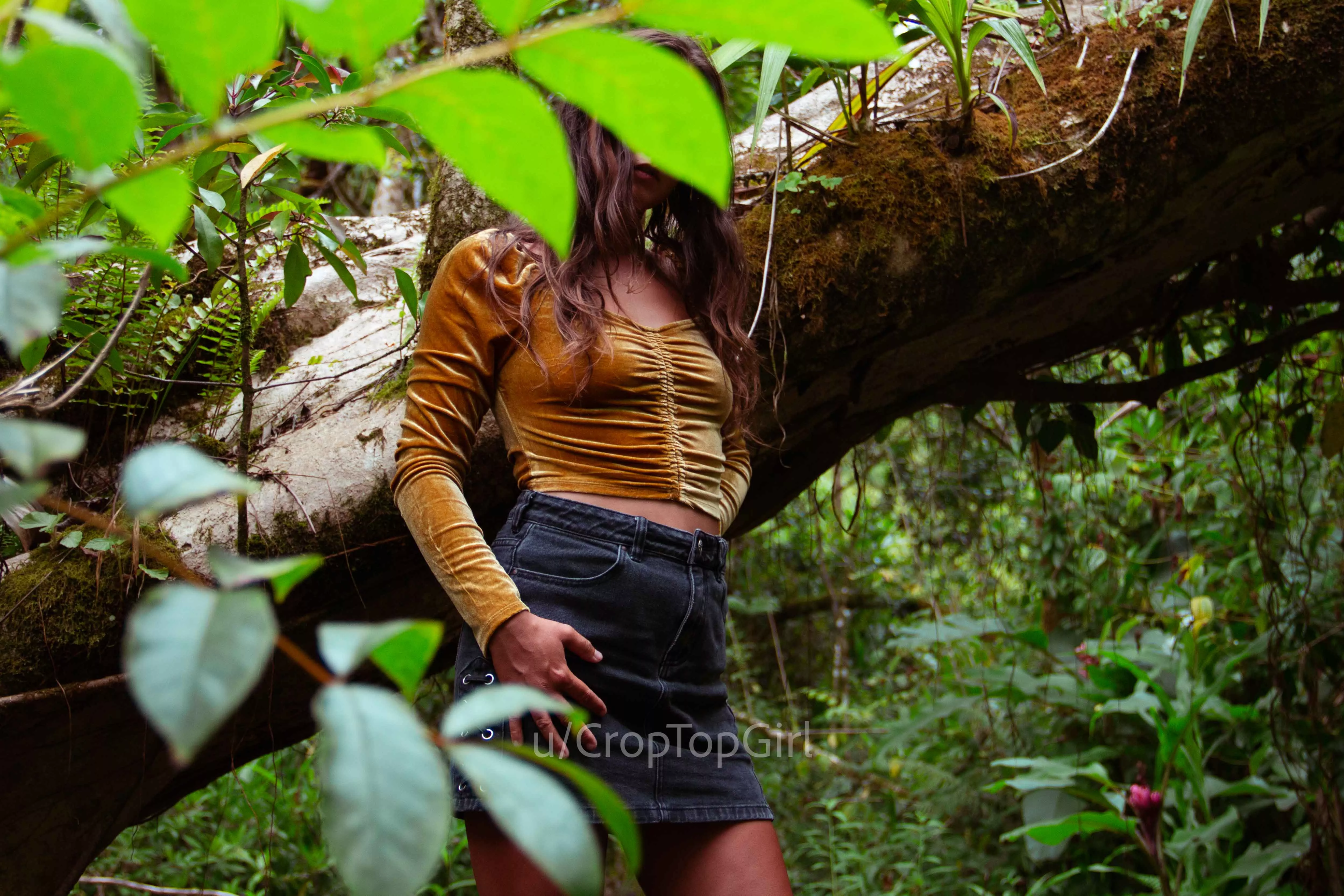 Welcome to the garden... pt.1