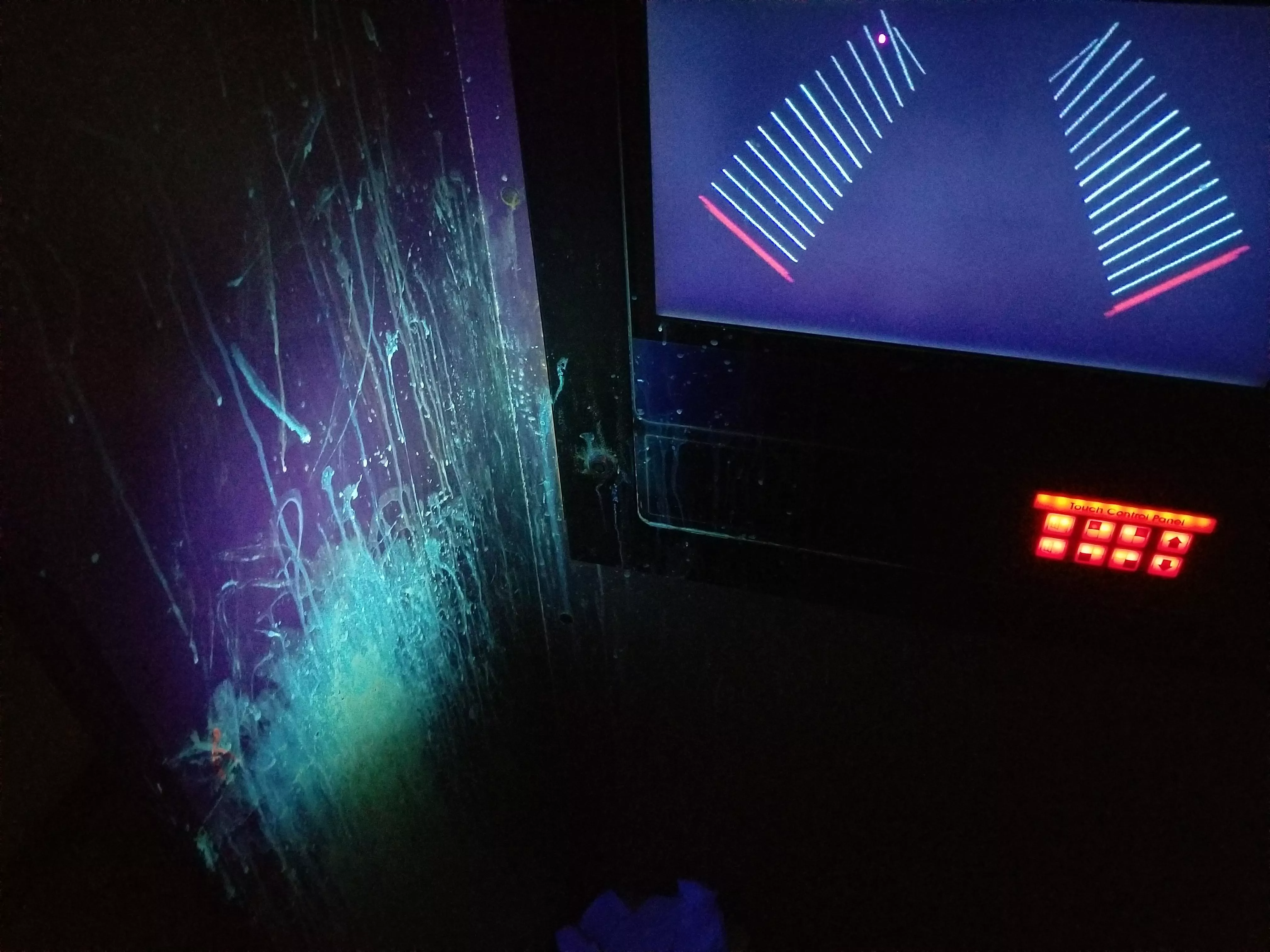 Who carries a black light flashlight around when you're cruising?