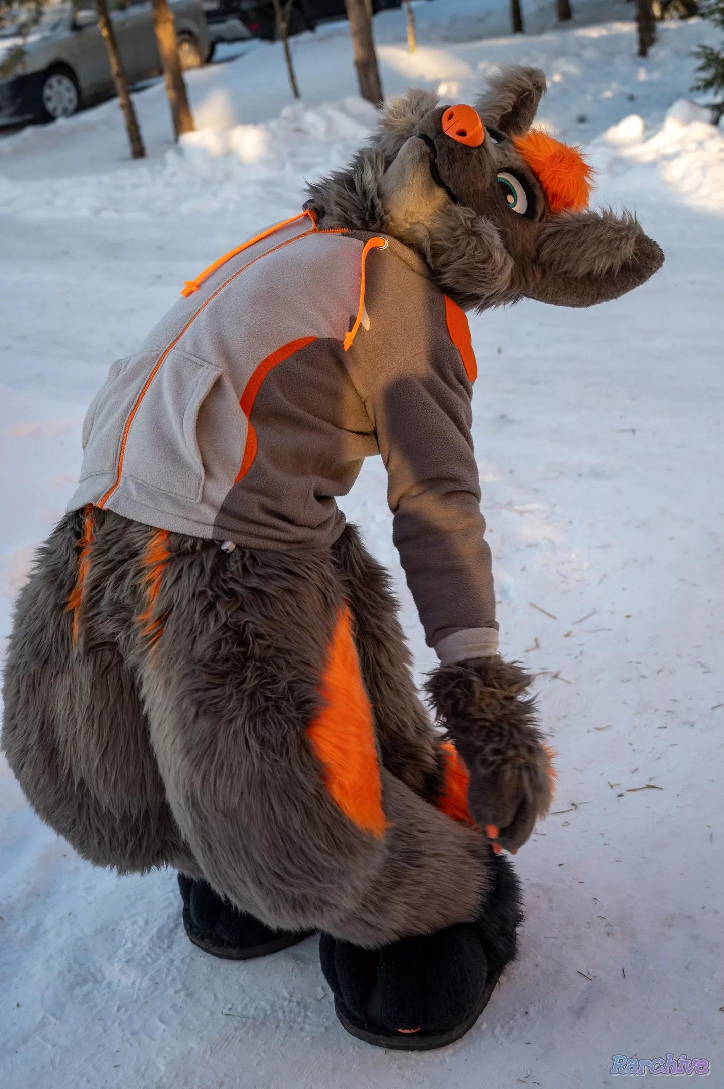Wolf.exe has stopped working [Photo by: RartixDragon]