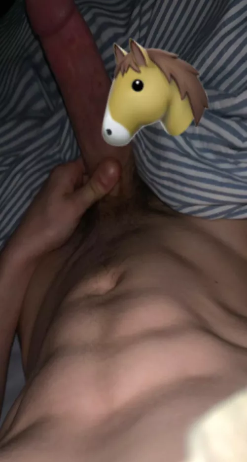 You ever seen a horse with abs ? 🐴