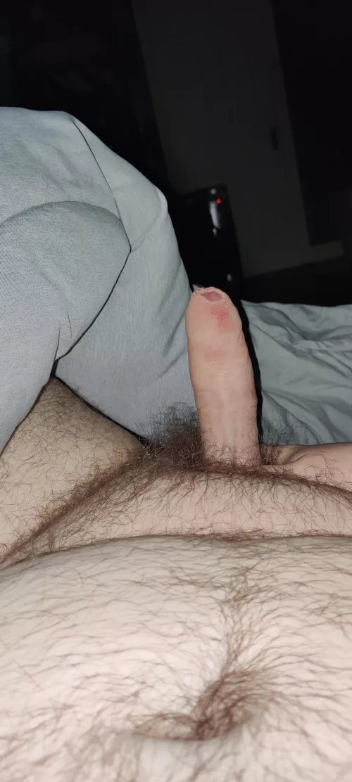 26 Irish Chub Bear Top looking for bottoms to have some fun with. Fem+ Kinky+++ SC: irish_biguy
