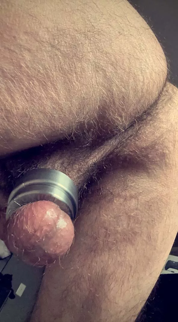 A Rare Capture of the Rear View