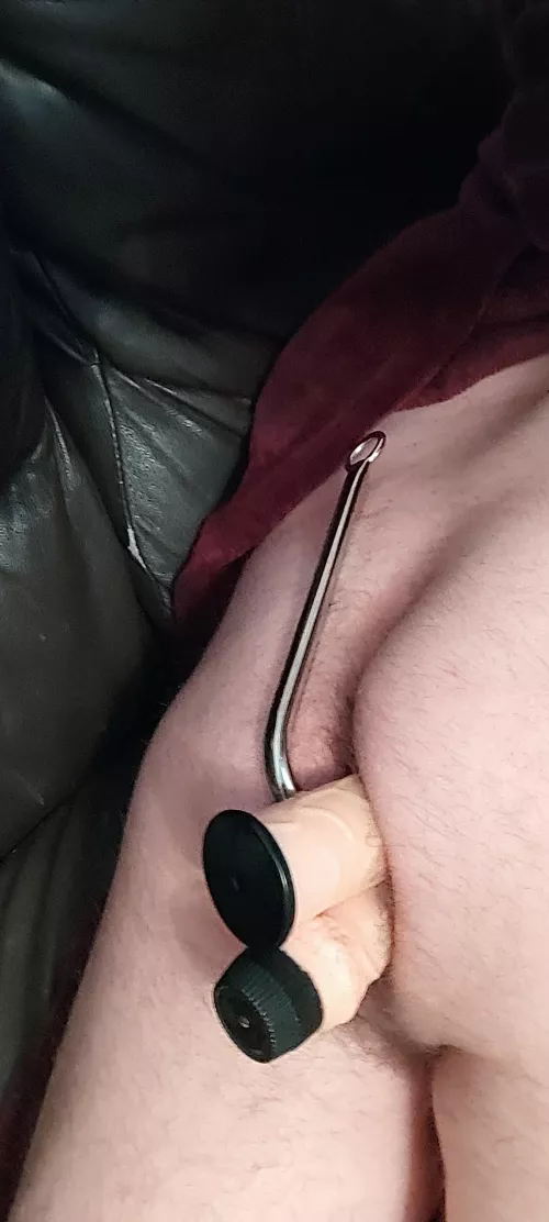 Anal hook and 2 huge dildos in my ass