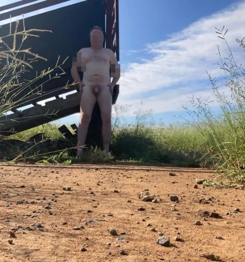 Another day in the sun