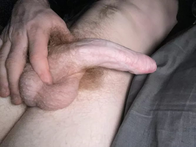 Any takers to suck my dick