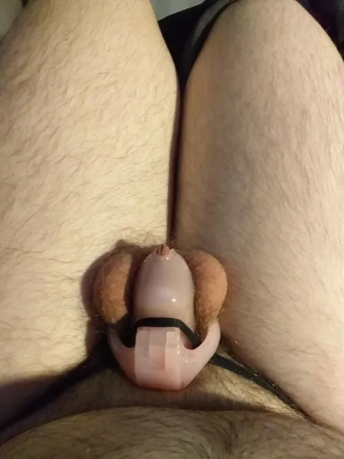 any words of encouragement to extend my self lock