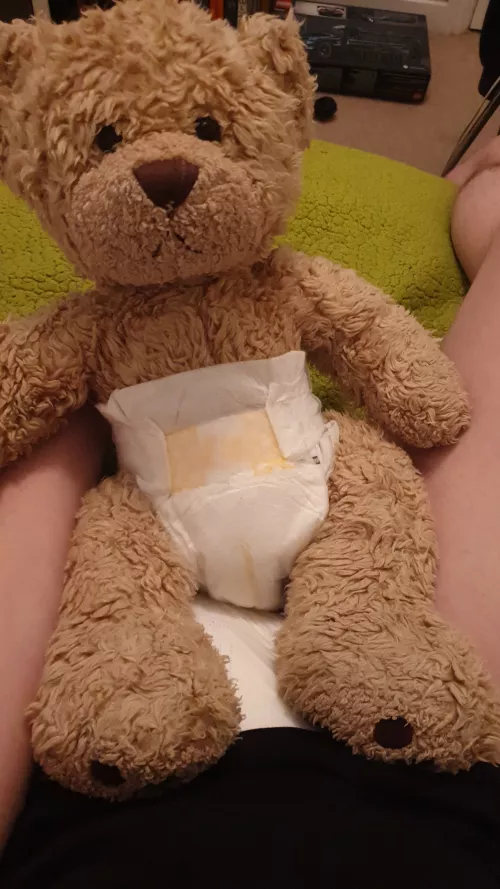 Anybody else diaper there teddys