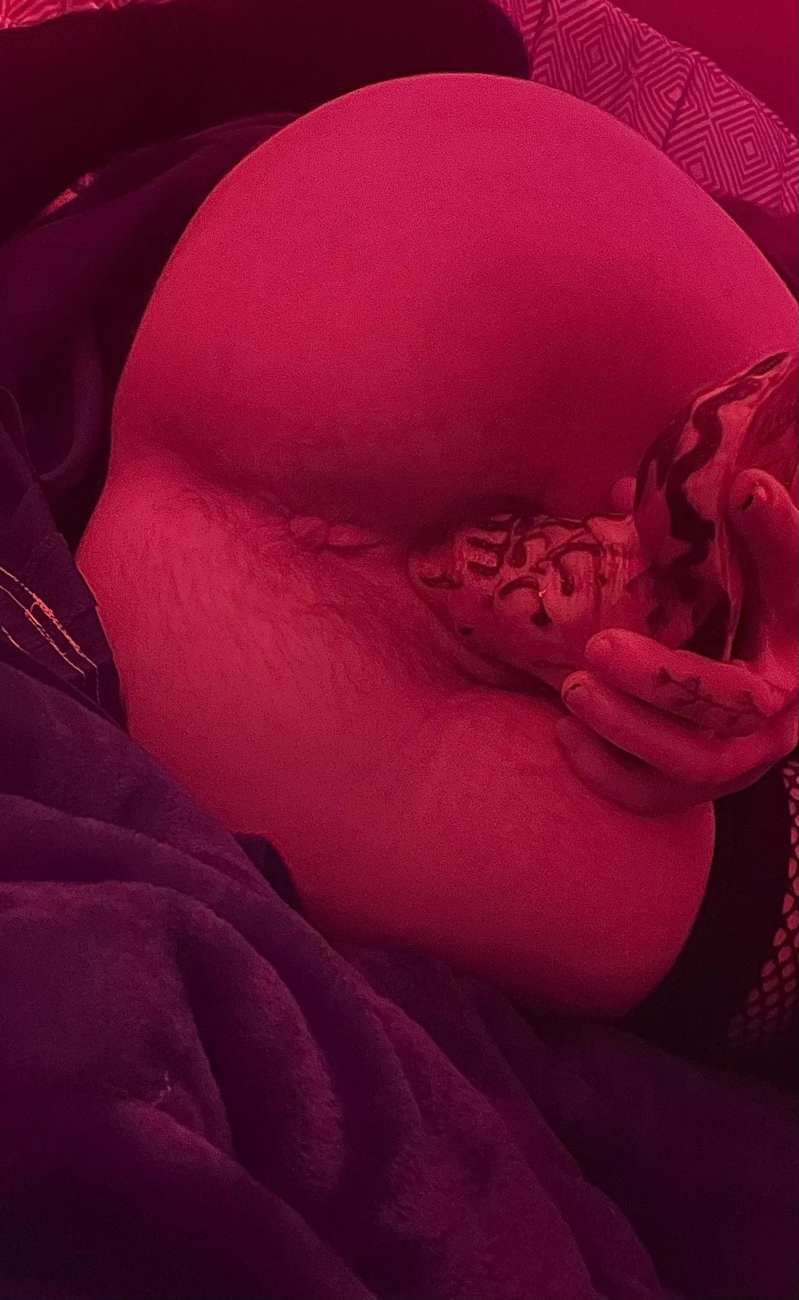 Bad dragon s/m sveinn stretch (he/him)