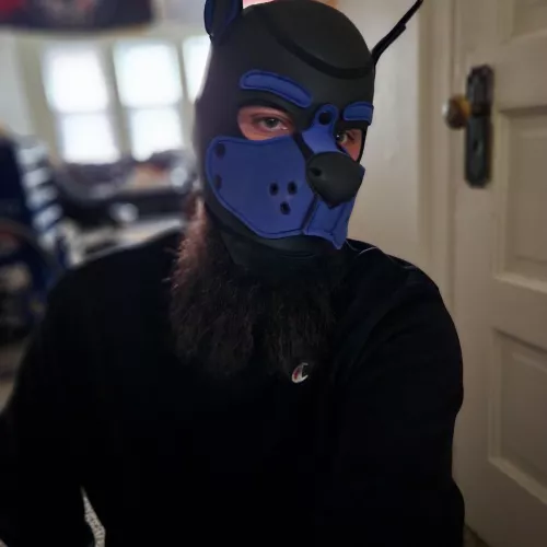 bearded good boy 💙