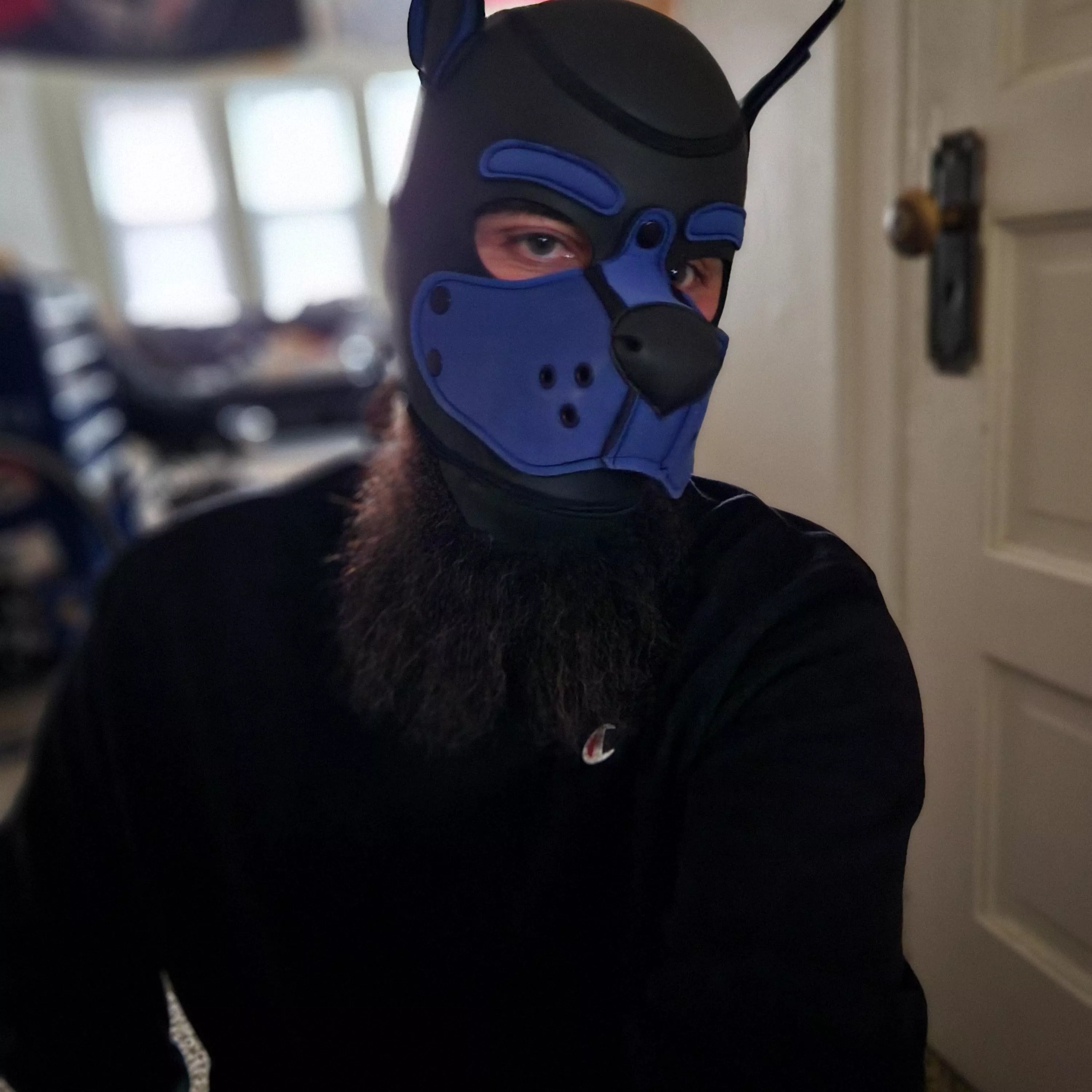 bearded good boy 💙