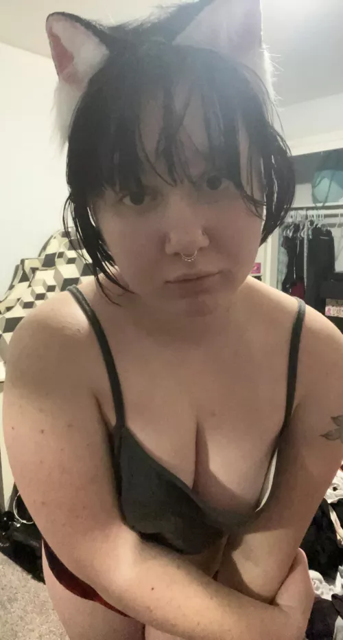 Can I be your kitten?