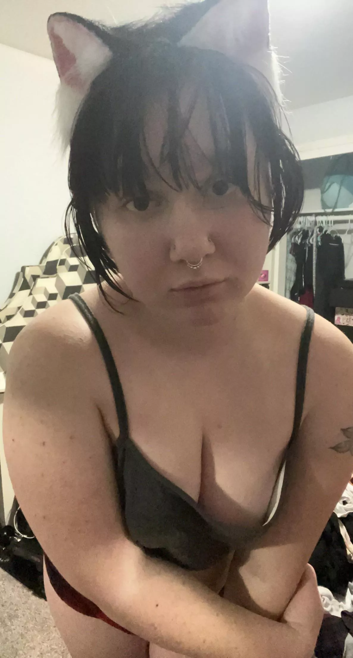 Can I be your kitten?