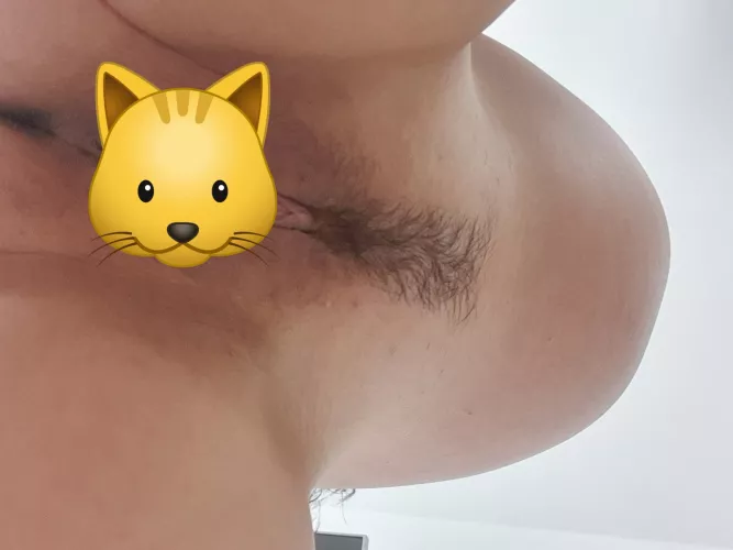 Can I sit on your face?