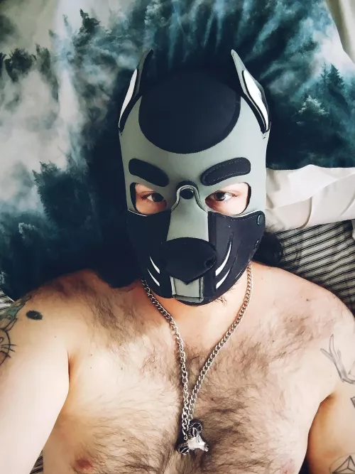 Come have a lazy Sunday in bed with me