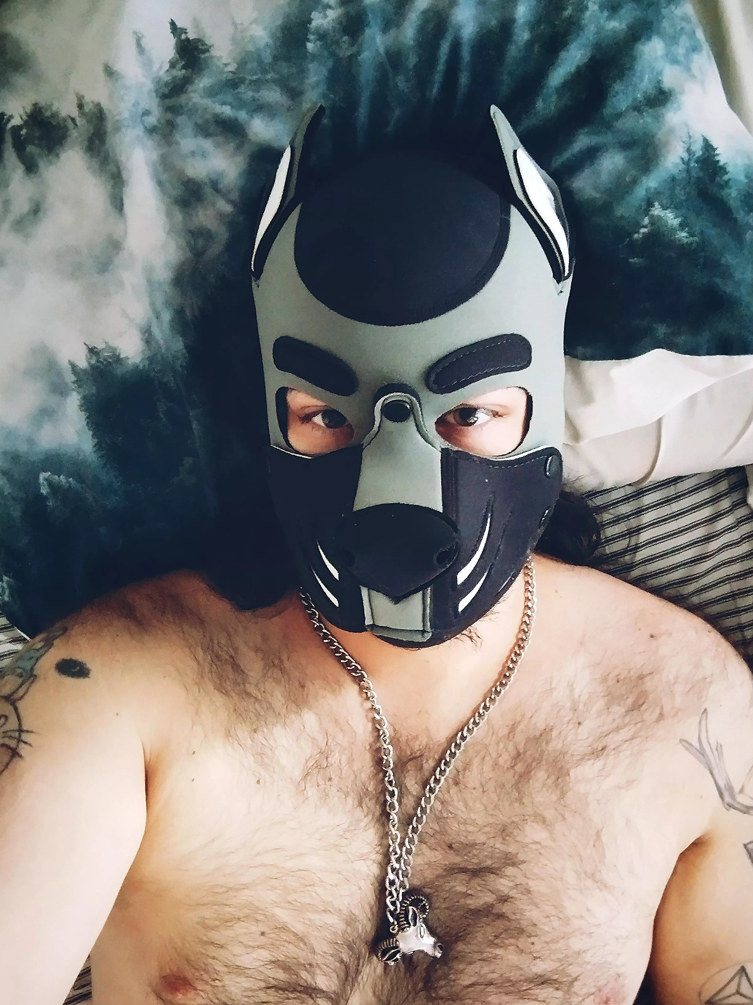 Come have a lazy Sunday in bed with me