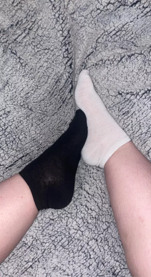 Cookies and cream socks on a fuzzy blanket 🖤 come get a taste 😜 [female]