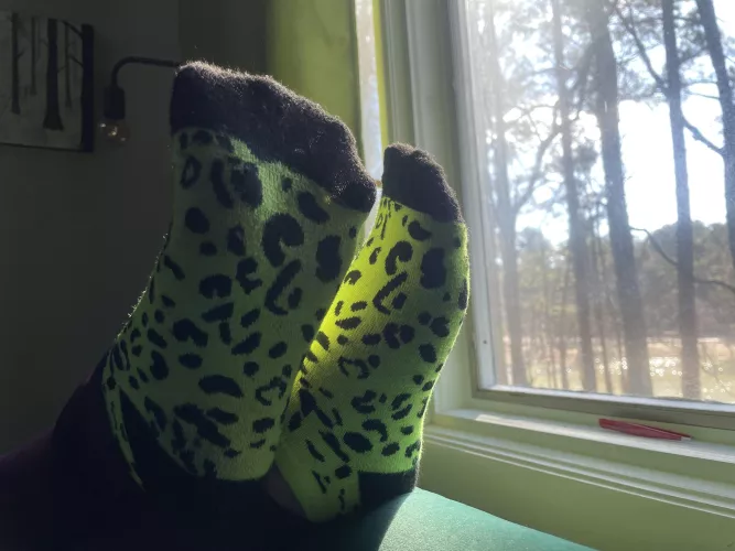 Day two of a long weekend ;)