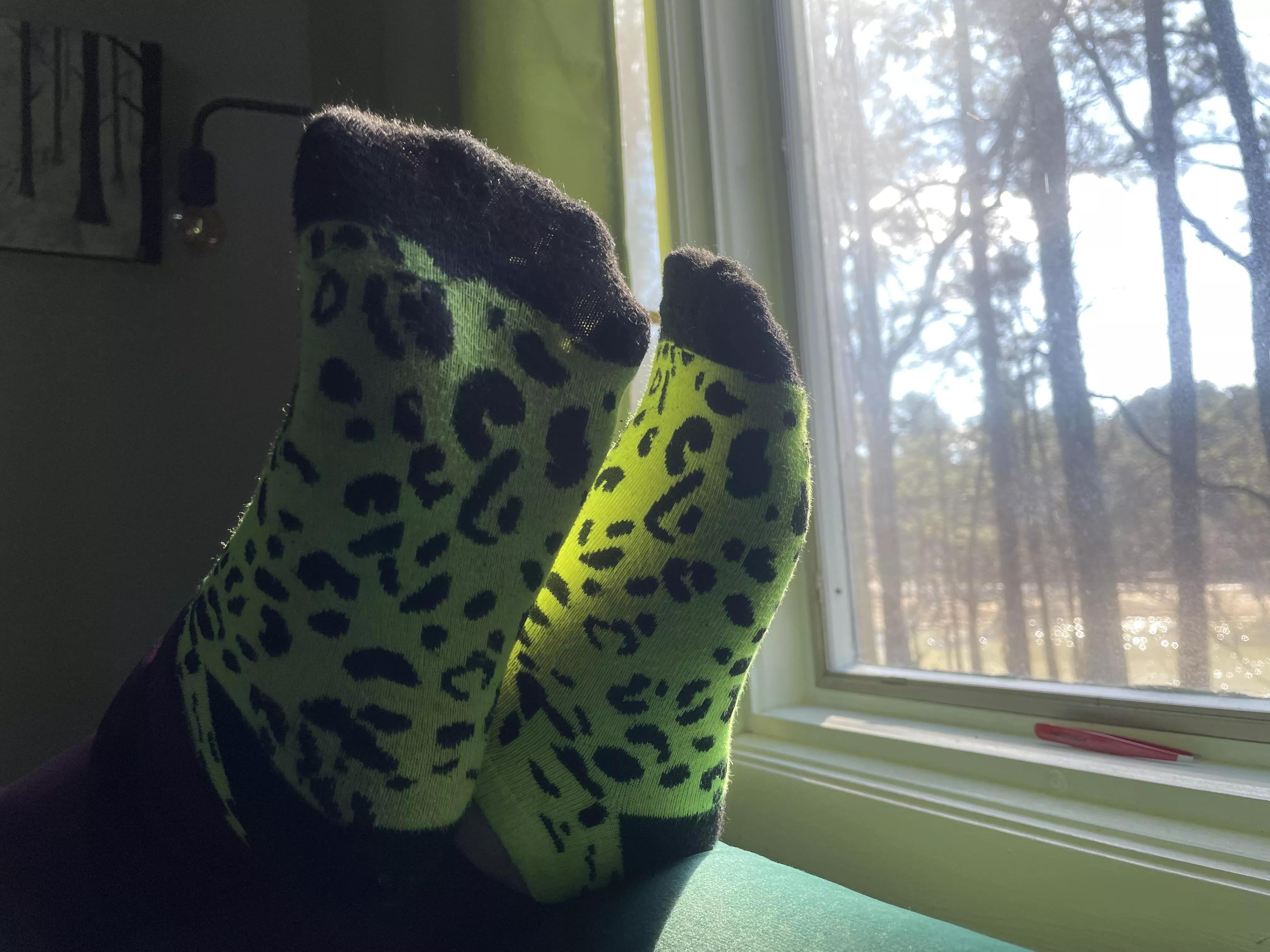 Day two of a long weekend ;)