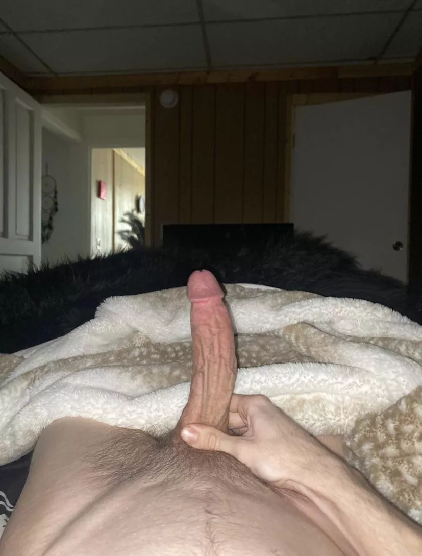 Do you like morning wood