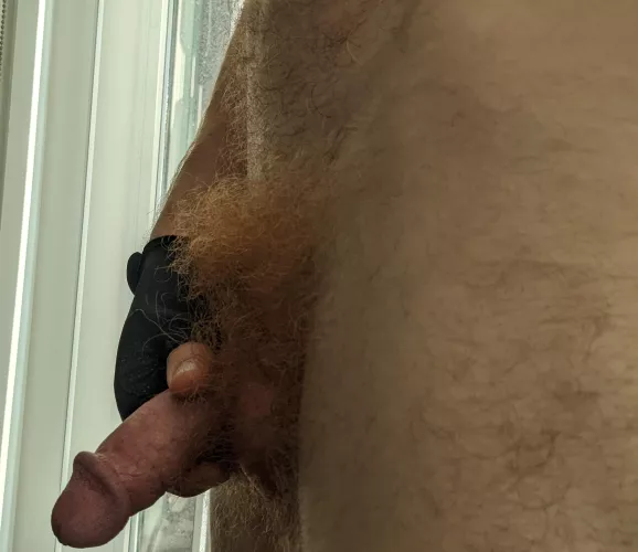 Emerging from my full ginger bush